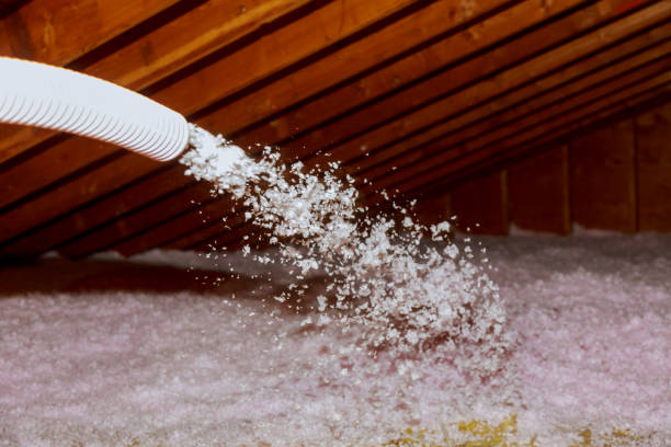 Best Attic Insulation Near Me  in Gastonia, NC