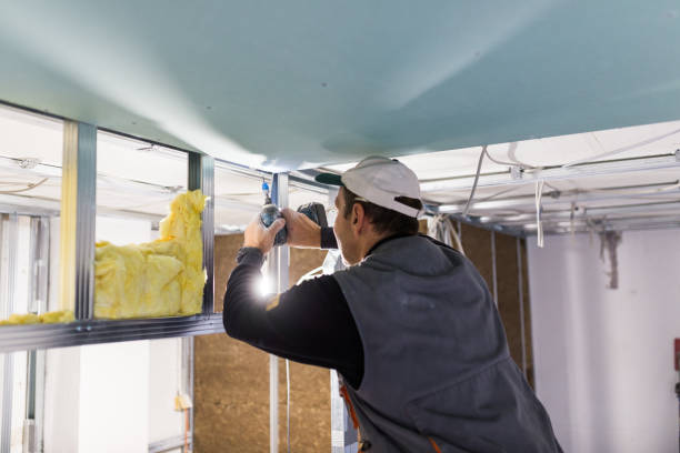 Best Insulation Inspection Services  in Gastonia, NC