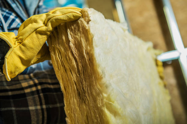 Best Insulation Removal  in Gastonia, NC