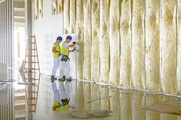 Best Attic Insulation Installation  in Gastonia, NC